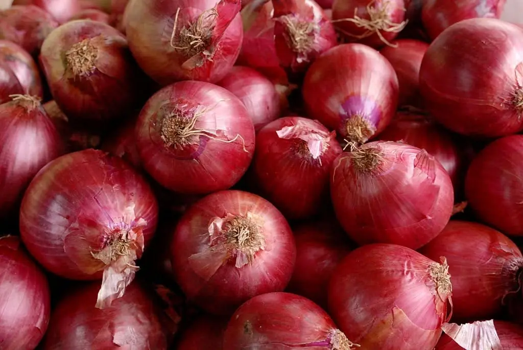 Should You Eat Onions Before Bed