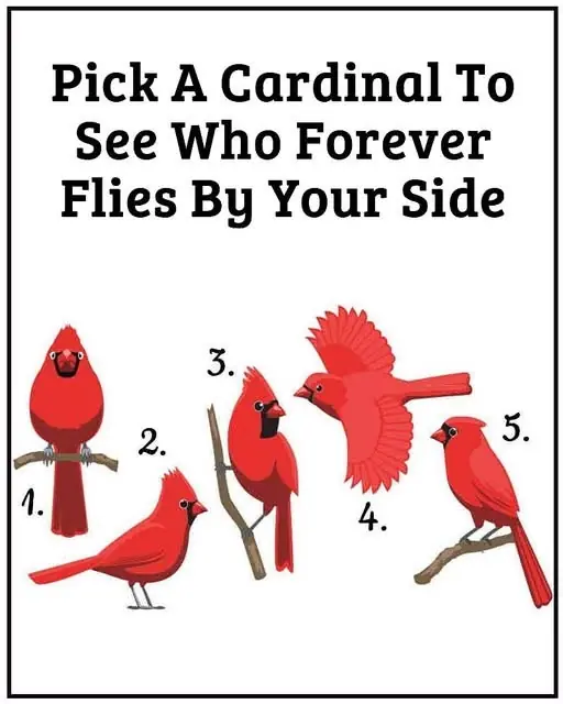 Pick A Cardinal To See Who Forever Flies By Your Side...