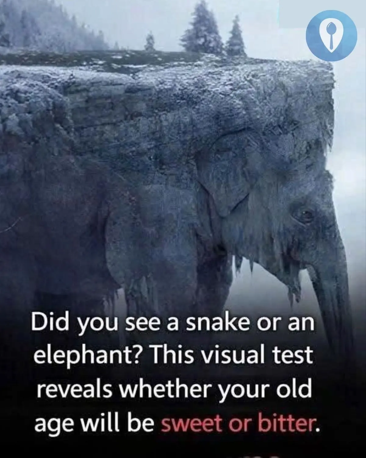 Snake or Elephant? This Viral Optical Illusion Claims to Reveal How You See the Future