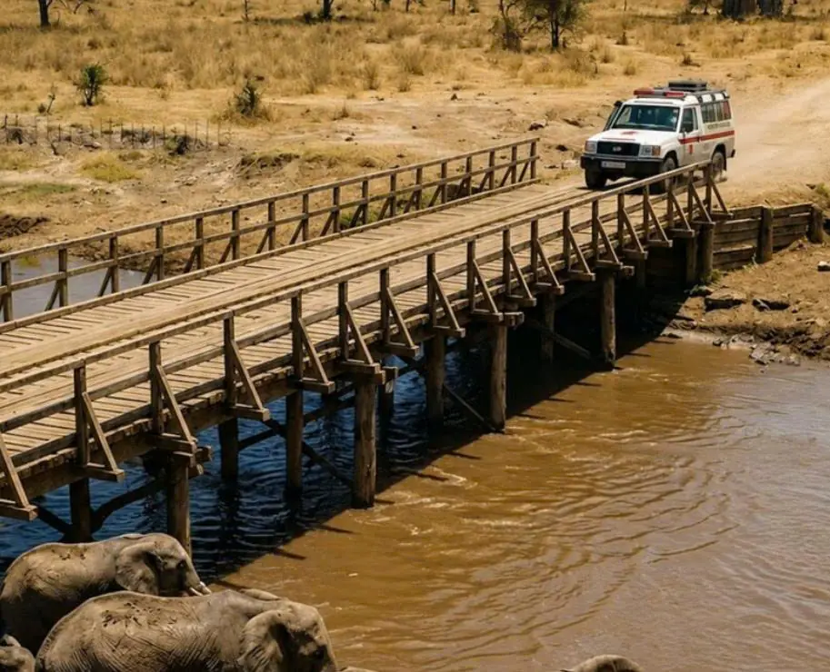 An ambulance was transporting a critically ill man across an old bridge that collapsed the moment its wheels touched the first wooden planks, but what the elephants did next seemed simply impossible