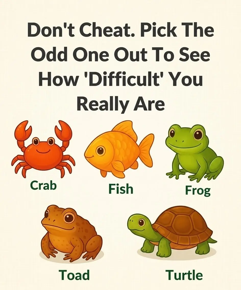 Which Animal Doesn’t Belong