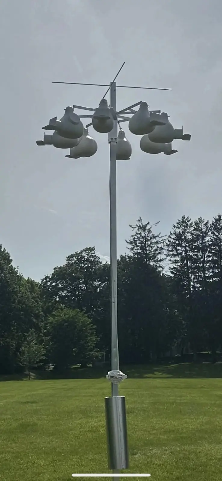 Those Aren't Cameras! Here's the Wild Truth Behind Those Mysterious Park Poles