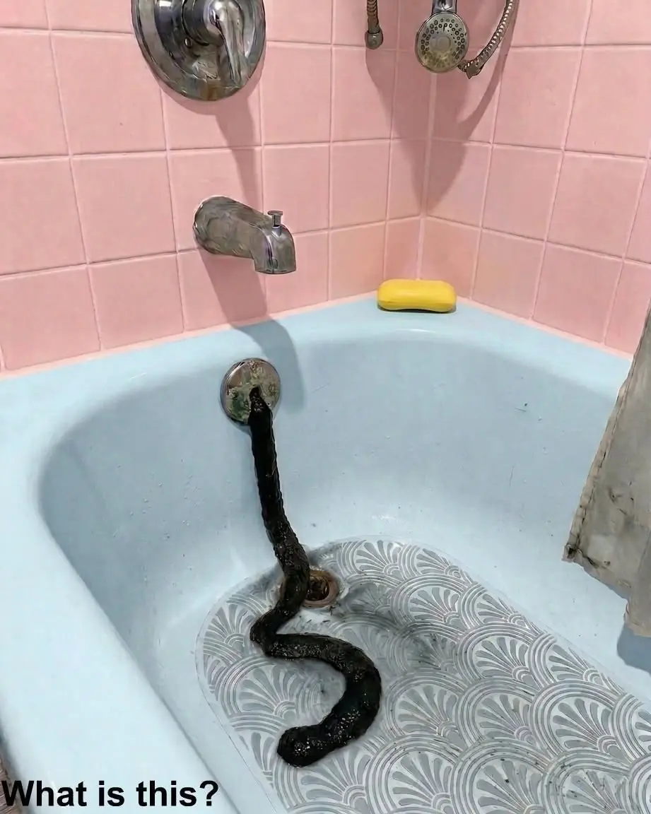 I Returned From Vacation to Find a "Snake" in My Bathtub—The Truth Was Even More Shocking