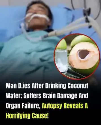 Summary of the Coconut Water Incident