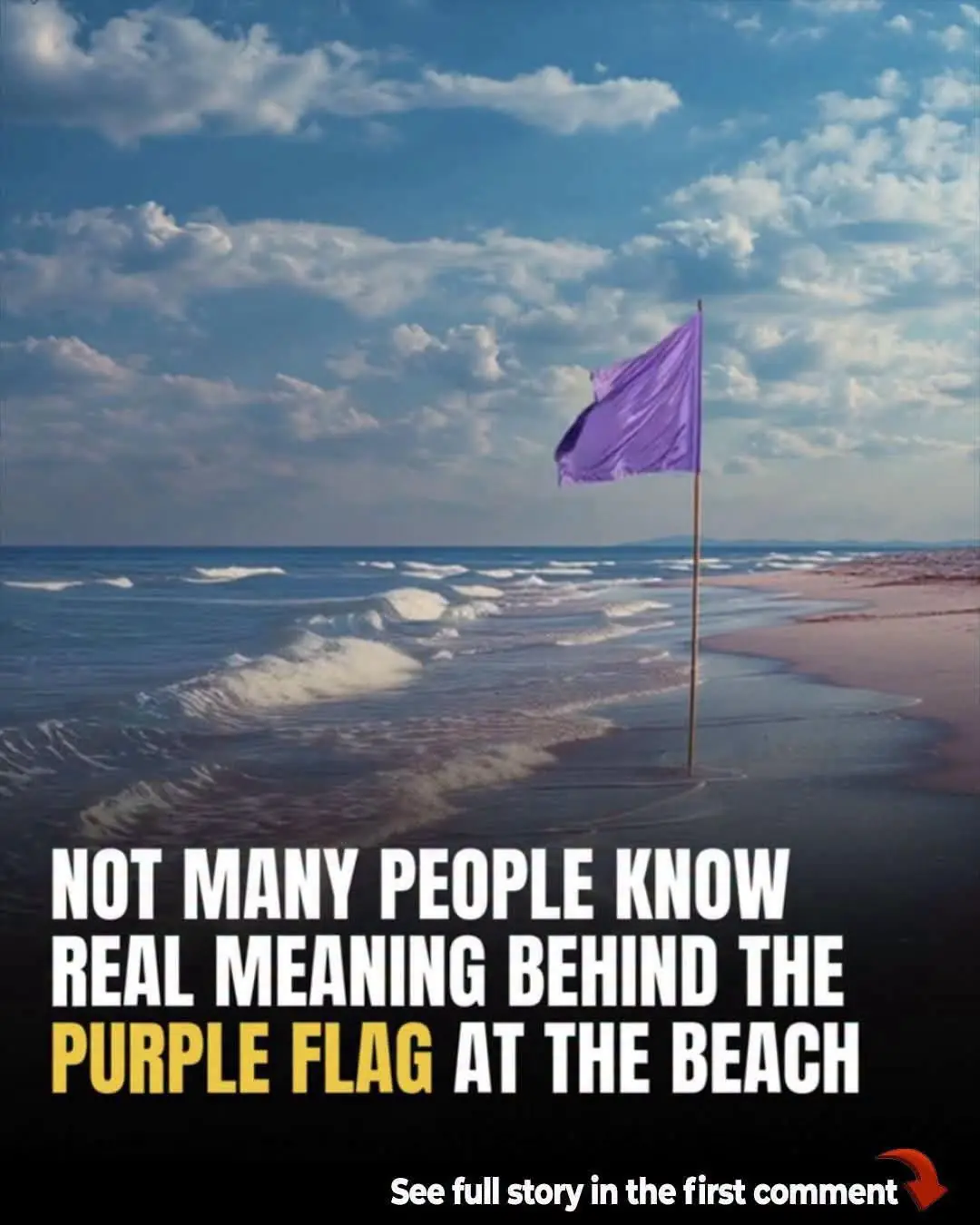Beach Flags Explained