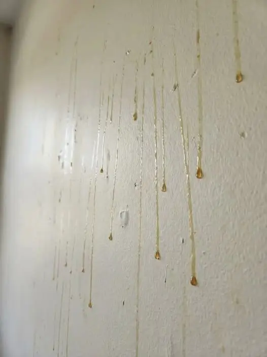 Why Are Yellow Drips Appearing on Your Walls