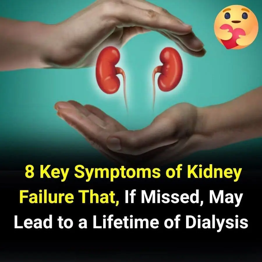 8 Key Symptoms of Kidney Failure You Should Never Ignore