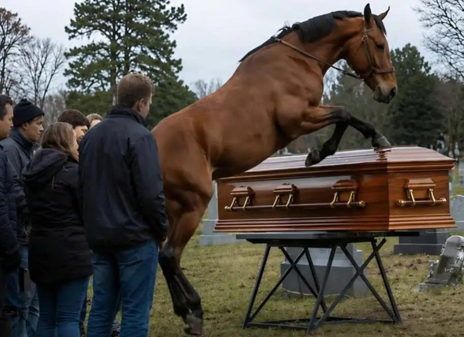 During a 60-Year-Old Farmer’s Funeral, His Loyal Horse Smashed the Coffin Open—What Everyone Saw Inside Left Them Horrified