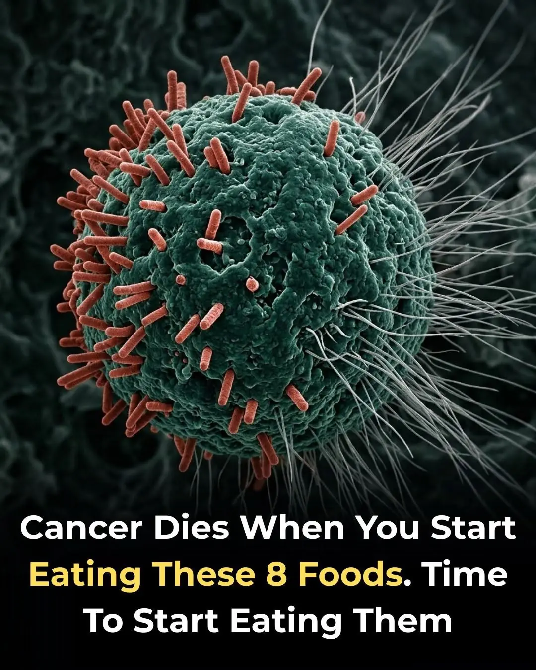 8 of the Best Anti-Cancer Foods. It’s Time to Start Adding them to Your Diet