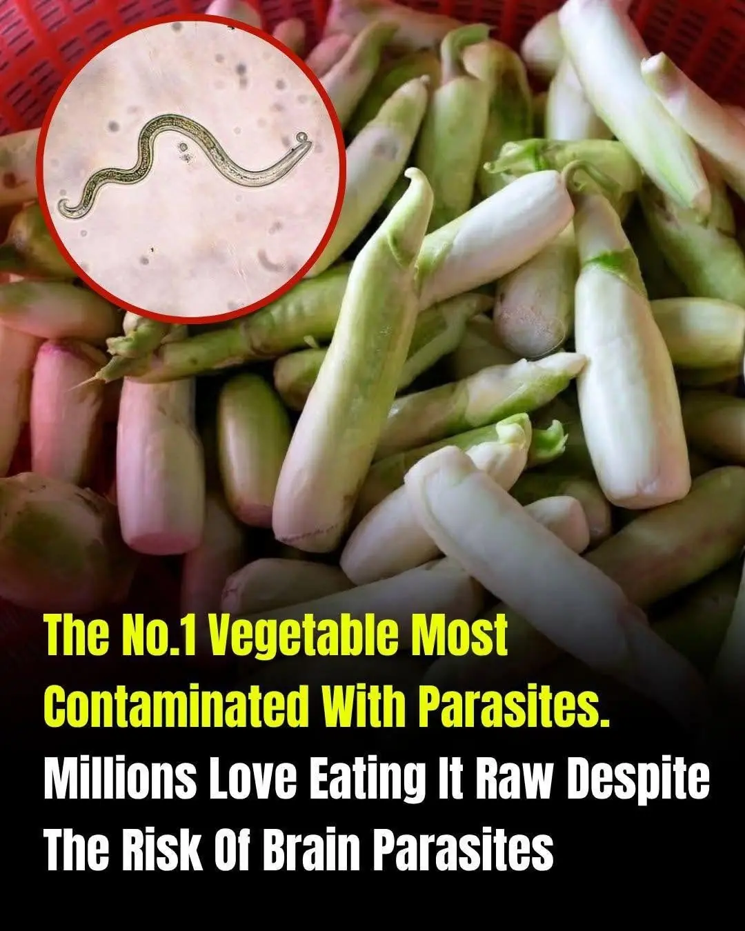 The Most Parasite-Contaminated Vegetable? Experts Warn About Hidden Risks