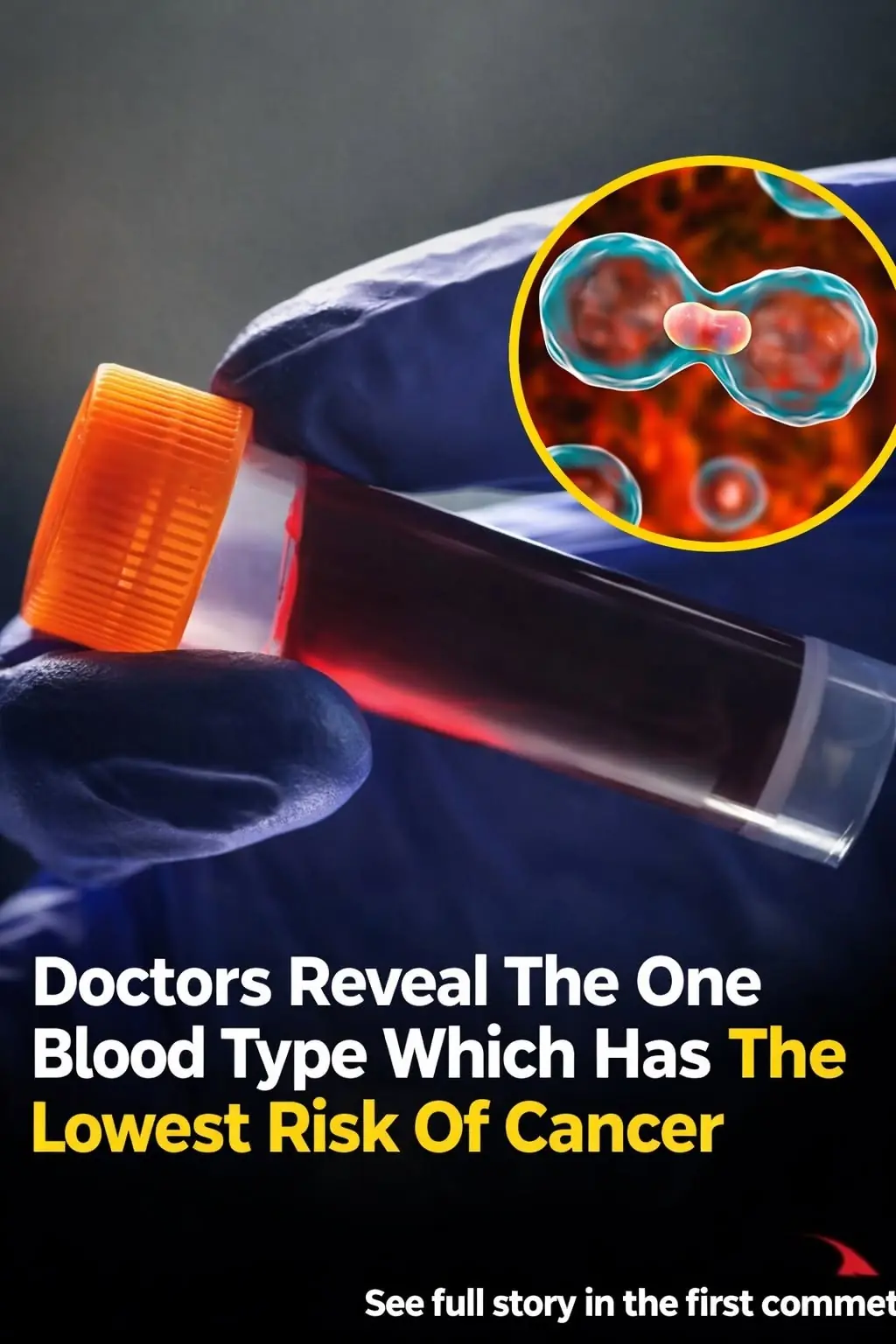 Understanding the Link Between Your Blood Type and Health