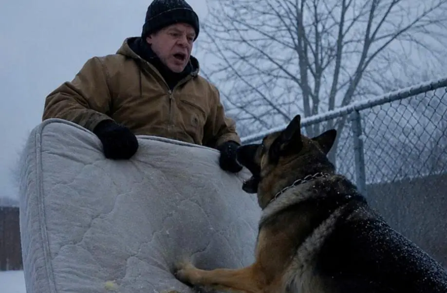 I was about to throw away my old, torn mattress, but my dog bit into it and refused to let me carry it outside. Minutes later, I realized why—and instantly regretted my decision.