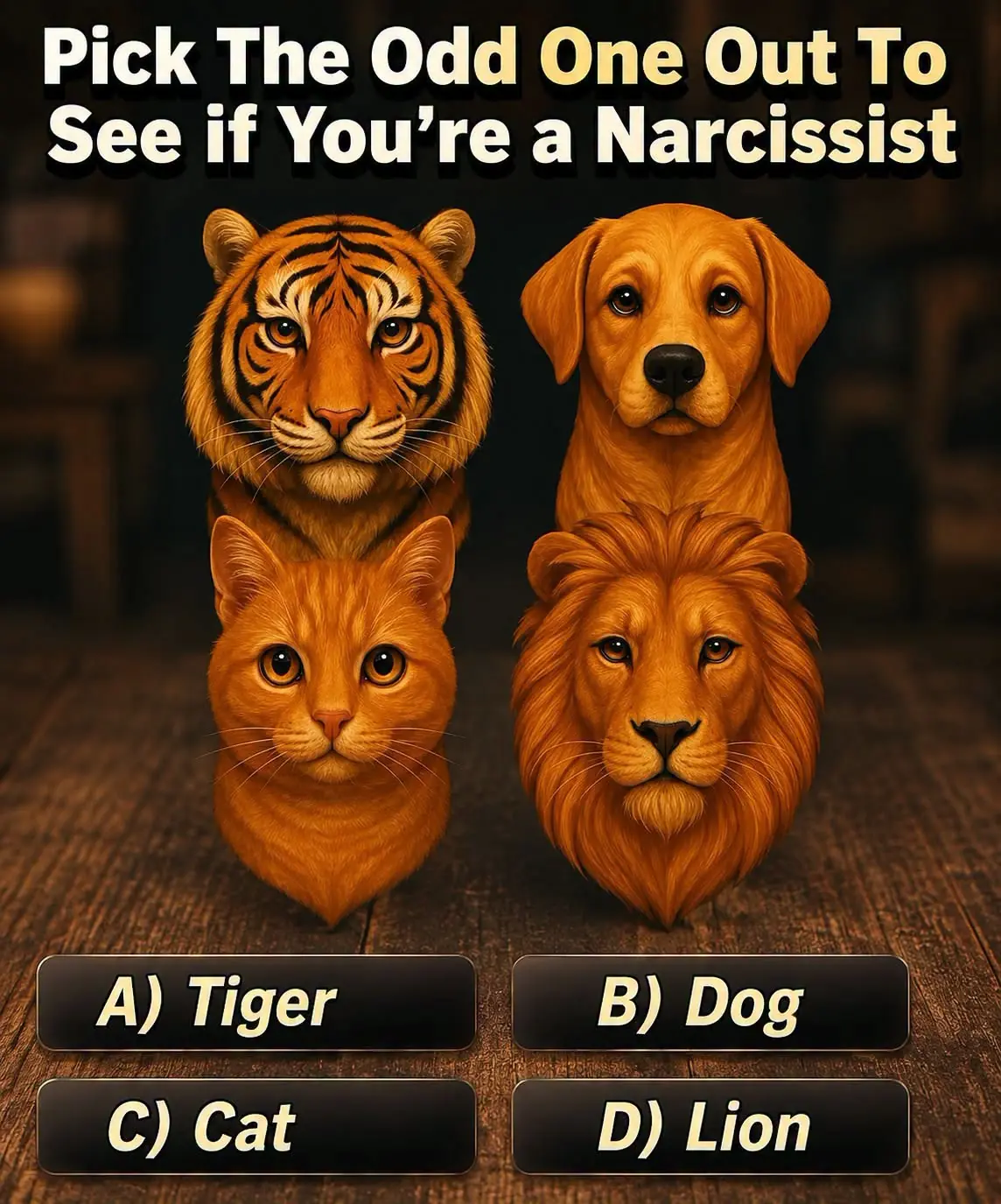 Which Animal Doesn’t Belong