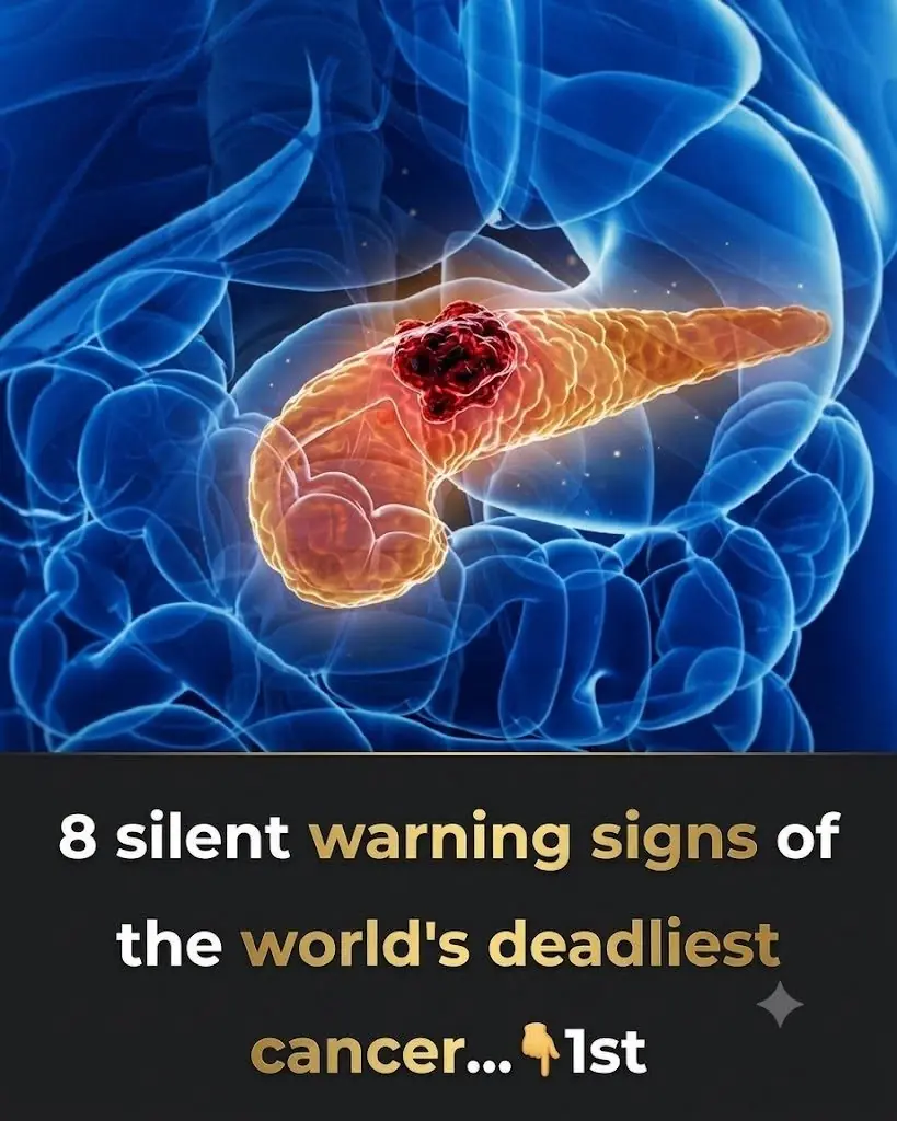Early Detection Matters: 8 Symptoms That May Signal Cancer in Older Adults