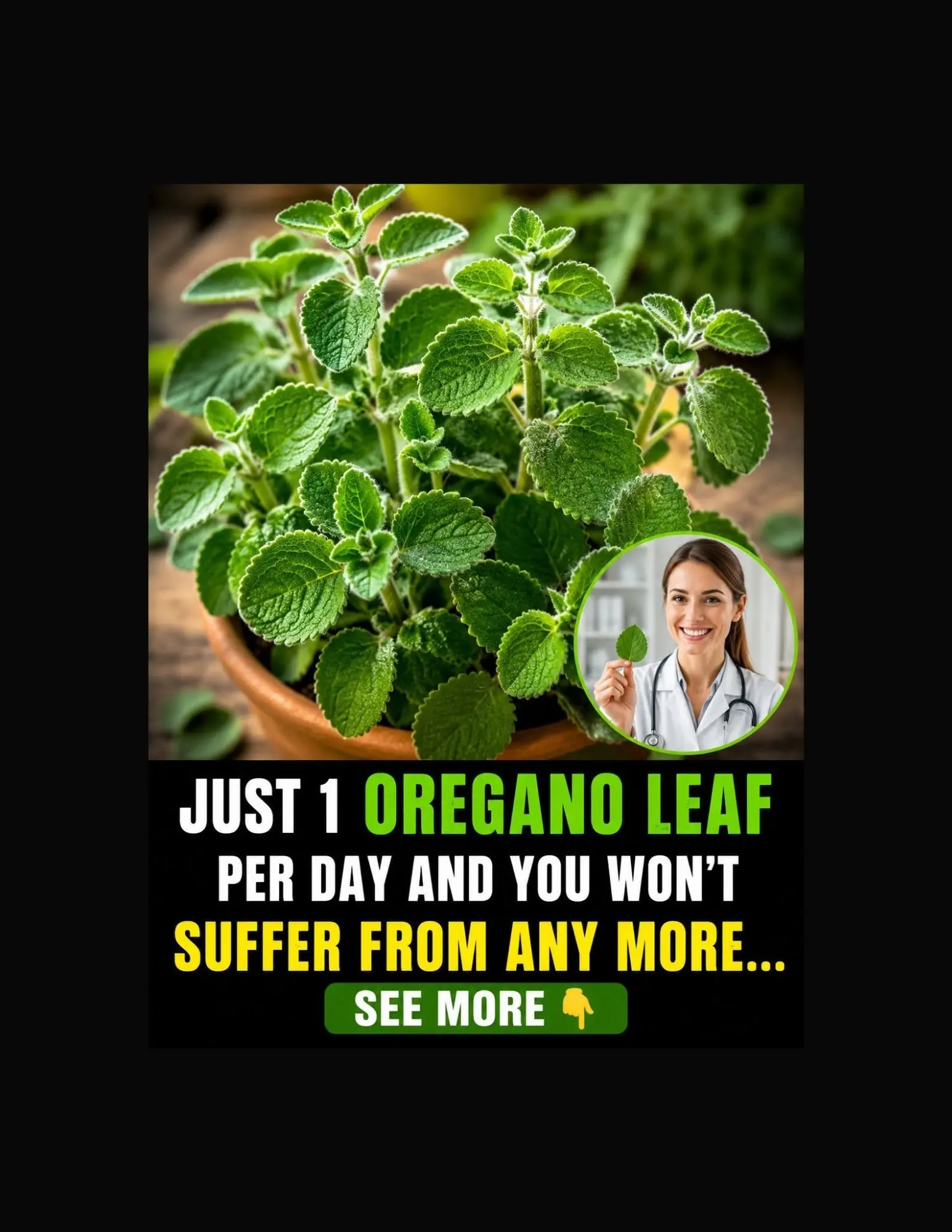 A Scientific Look at Oregano’s Role in Supporting Wellness