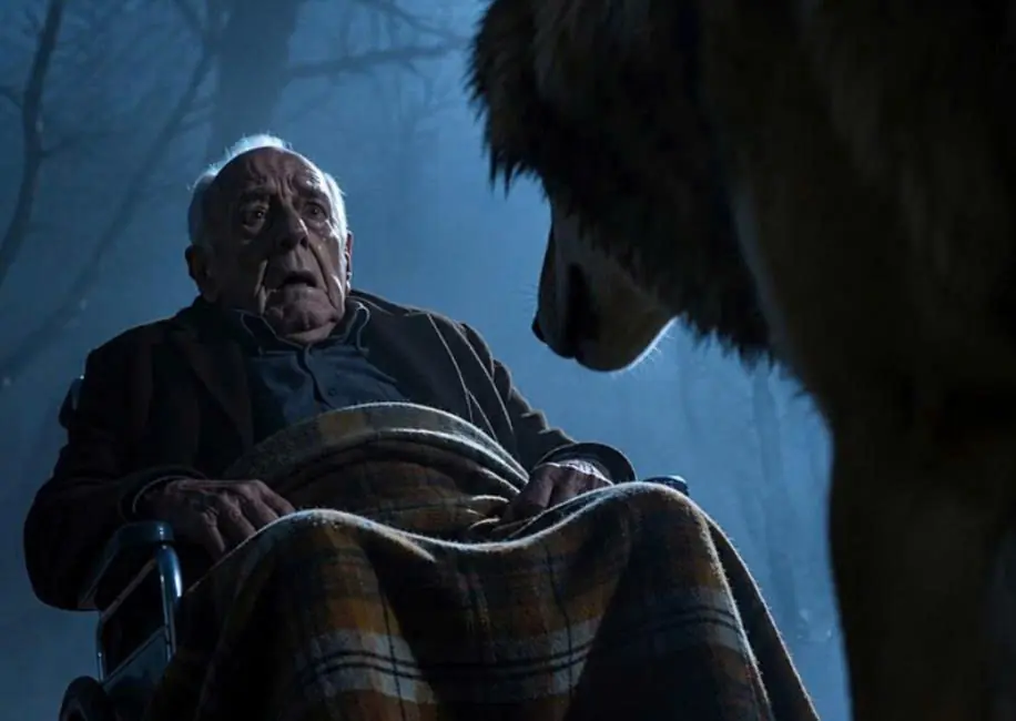 The man's children abandoned their helpless father in a remote forest for his money, expecting wild animals to kill him. But what a massive wolf did next shocked the entire region.