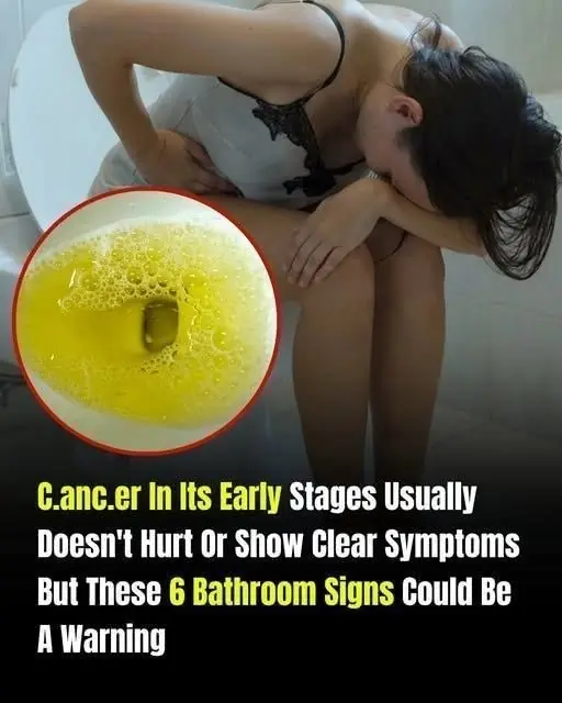 Six Bathroom Signs That Should Never Be Ignored: What Your Body May Be Trying to Tell You