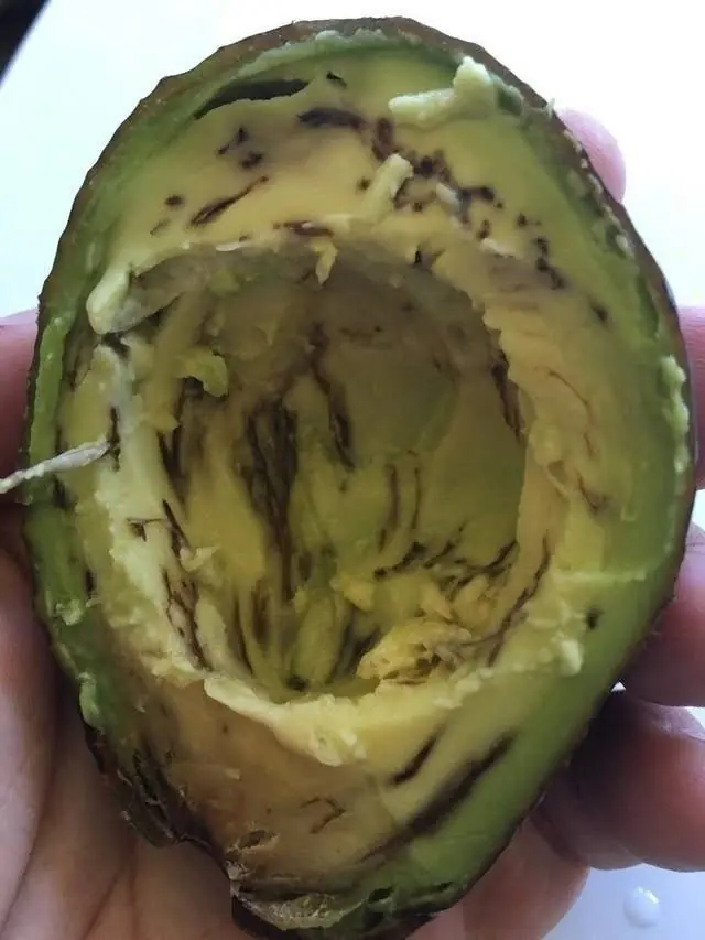 How to Know If an Avocado Is Safe to Eat: The Ultimate Guide to Avoiding Waste (and Disappointment)