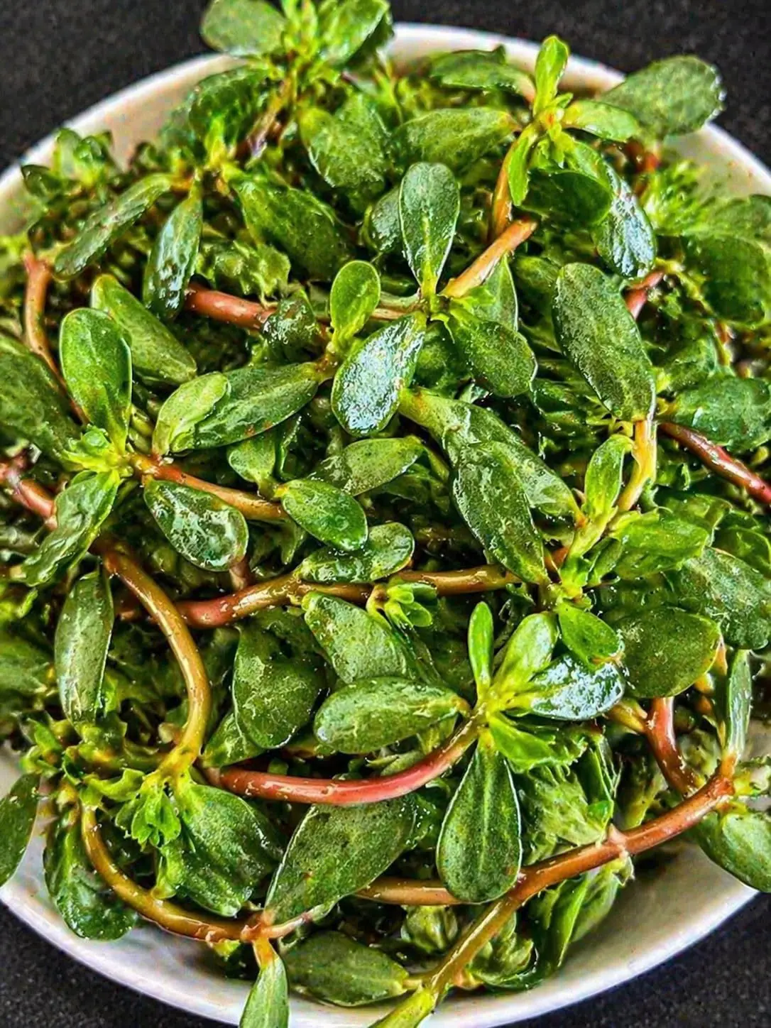 Purslane (Portulaca Oleracea): The Weed with Extraordinary Benefits (Science Based)