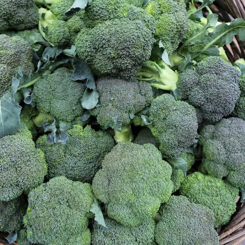 Doctors Reveal That Eating Broccoli Regularly Leads To