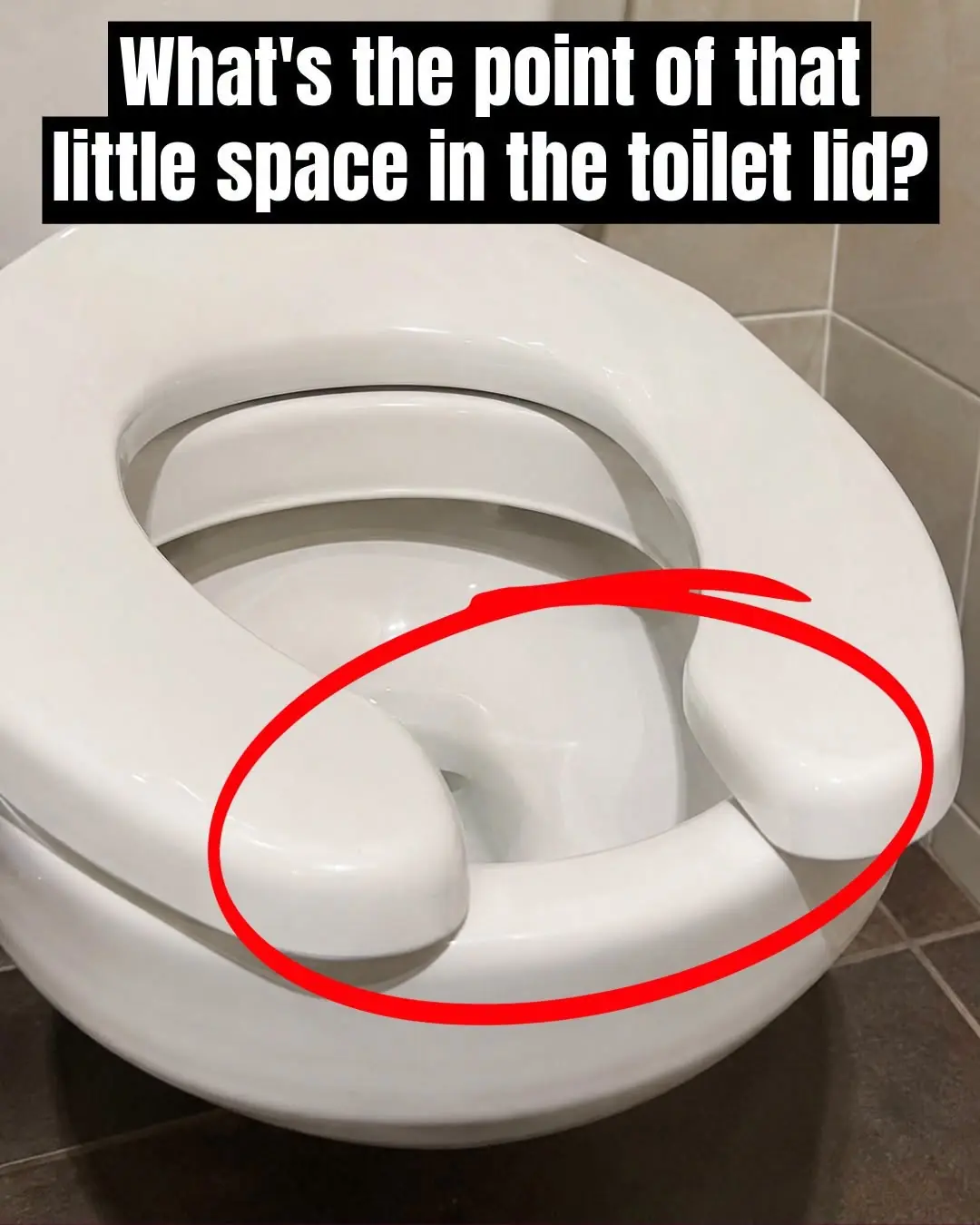 Have You Ever Wondered Why Public Restrooms Have U-Shaped Toilets?