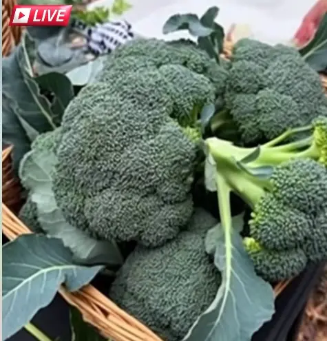 Doctors Reveal That Eating Broccoli Regularly Leads To