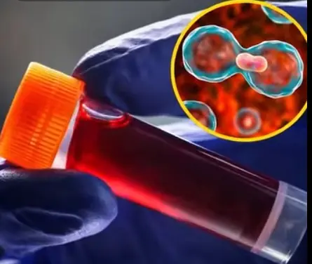 Understanding the Link Between Your Blood type and Health