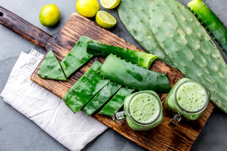 Exploring the Potential of Nopal Cactus for Blood Sugar Support and Overall Wellnesss