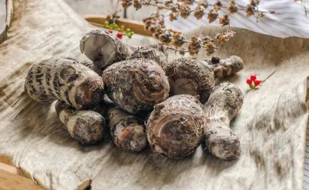 A village with an incredibly low cancer rate - and their secret isn't lotus seed supplements, but a humble spring vegetable eaten daily... see more in the comments 👇snn