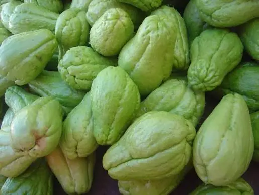 Chayote: A Nutritious Vegetable That May Support Overall Health When Included in a Balanced Diet