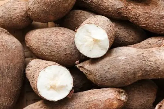 Over 200 People Are Killed By The “World’s Deadliest Food” Every Year, But Almost 500 Million People Still Eat It