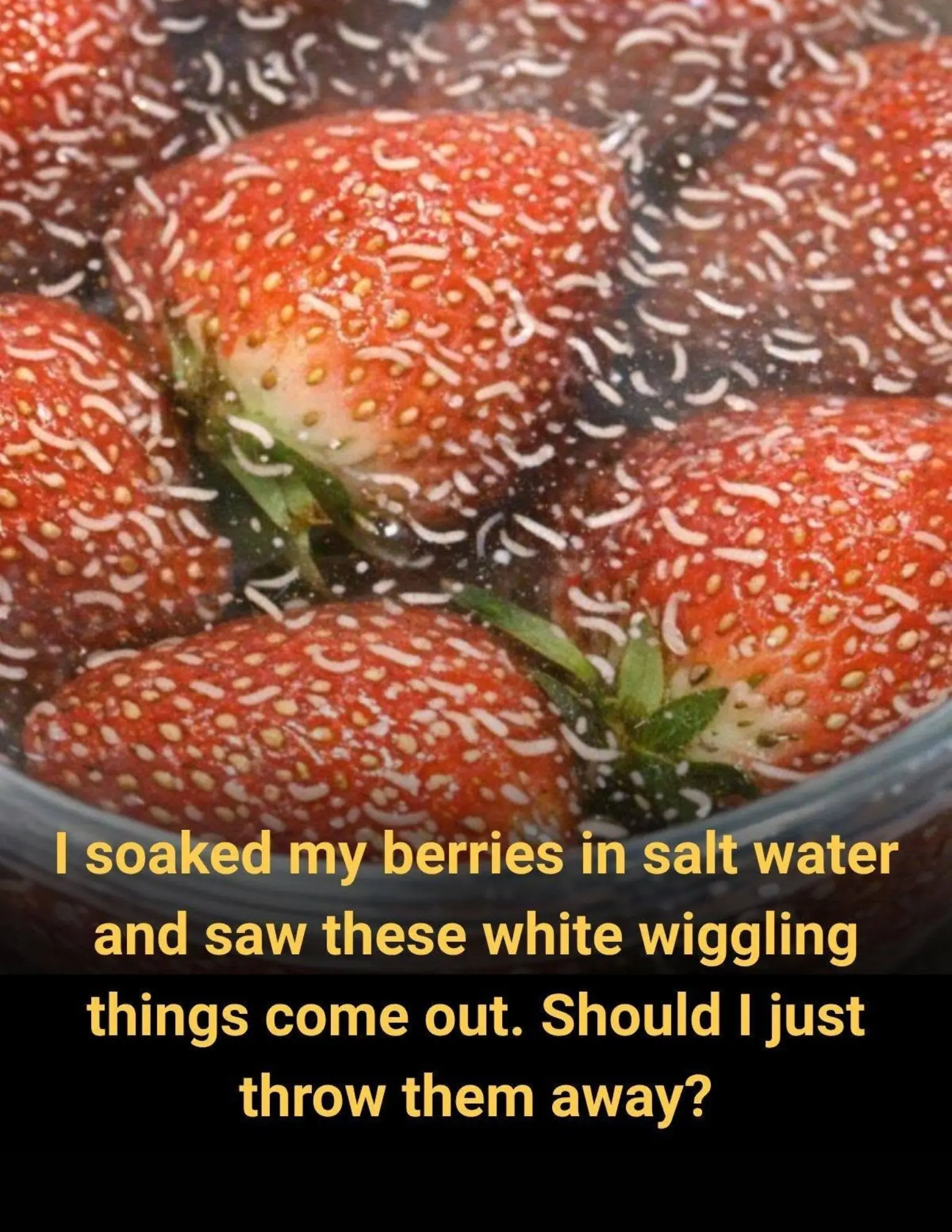 Why Tiny White Worms Appear in Strawberries and What You Should Do