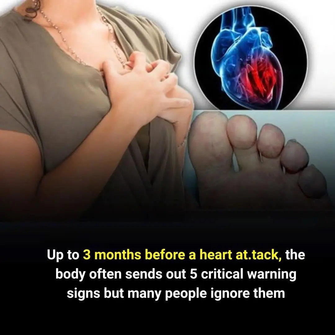 Your Health Can’t Wait—Act Now Before It Becomes Heartbreaking Regret