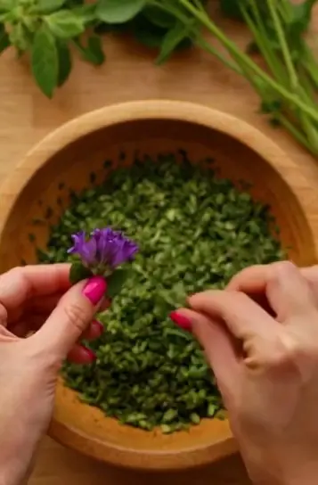 🌿 Purple Dead Nettle – Benefits and Uses of This Surprising Wild Herb 1S