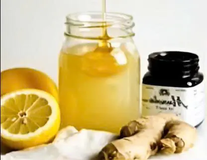 Honey, Lemon Juice, Onion, Garlic and Grated Ginger: One Teaspoon a Day and Prepare to Be Amazed