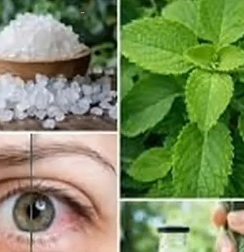 This is the plant that keeps patients away from ophthalmologists, as millions of people who wore glasses and suffered from cataracts are improving their vision