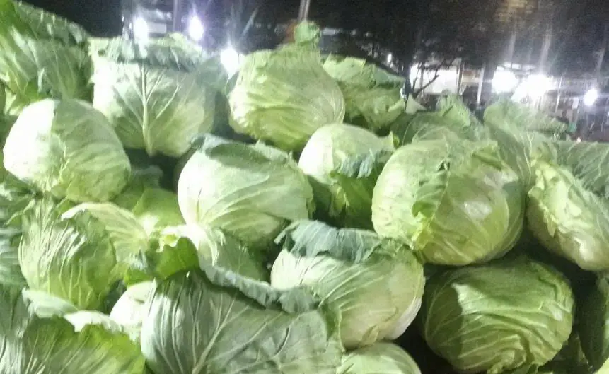 Eating Cabbage? These People May Want to Think Twice