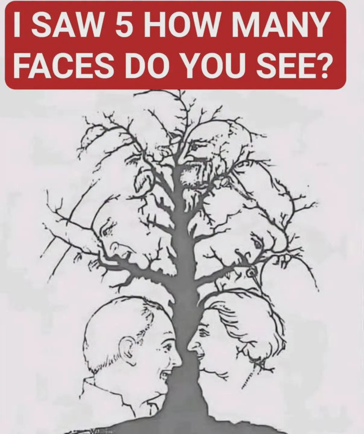 Can Spot All the Faces Hidden in This Tree?