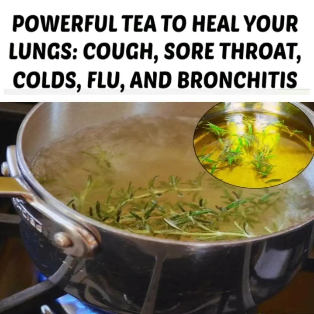 Proven Health Benefits and Uses of Thyme and Thyme Tea