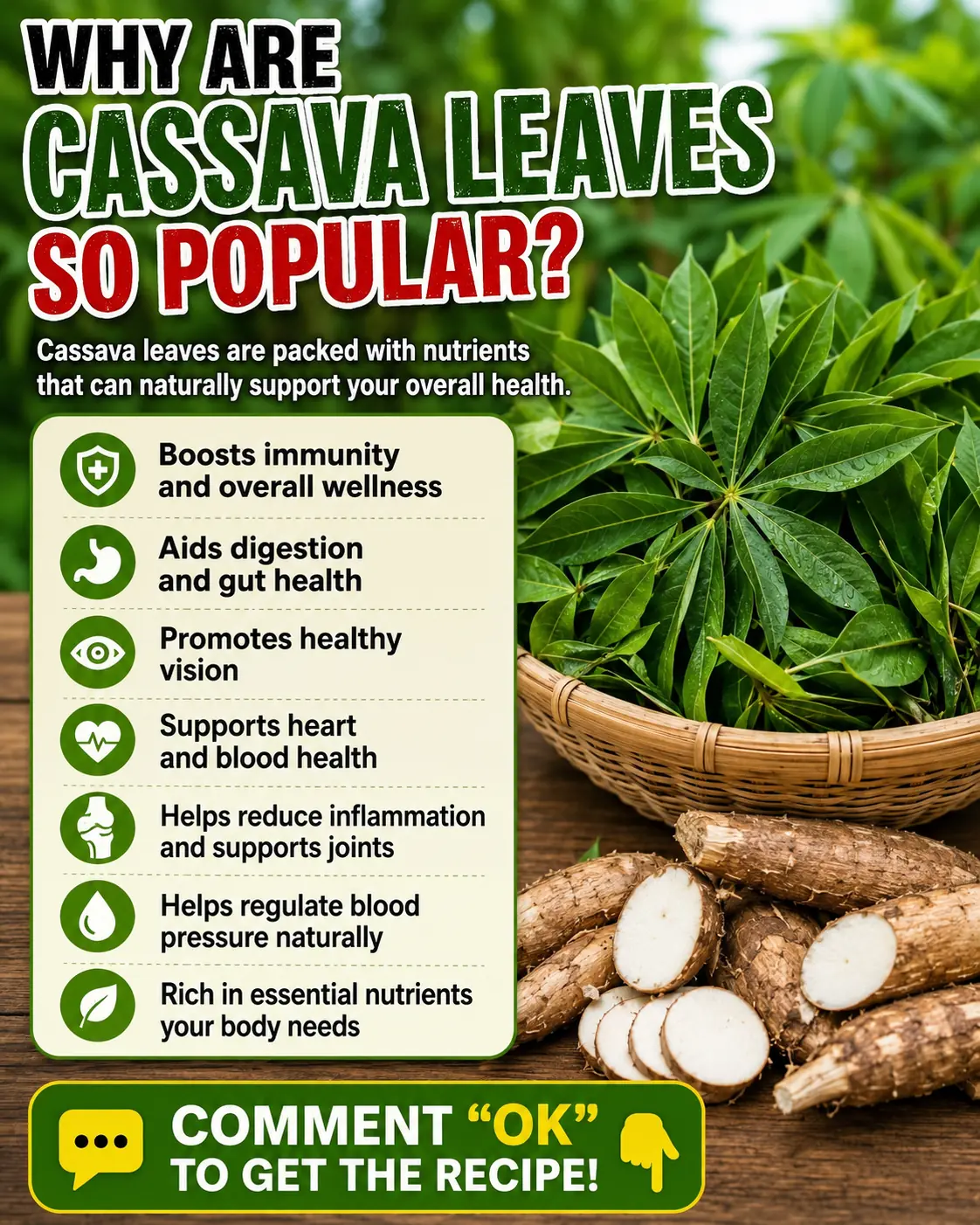 🌿 Cassava Leaves: Nutritional Benefits, Safe Preparation, and Traditional Uses for Everyday Wellness 💚
