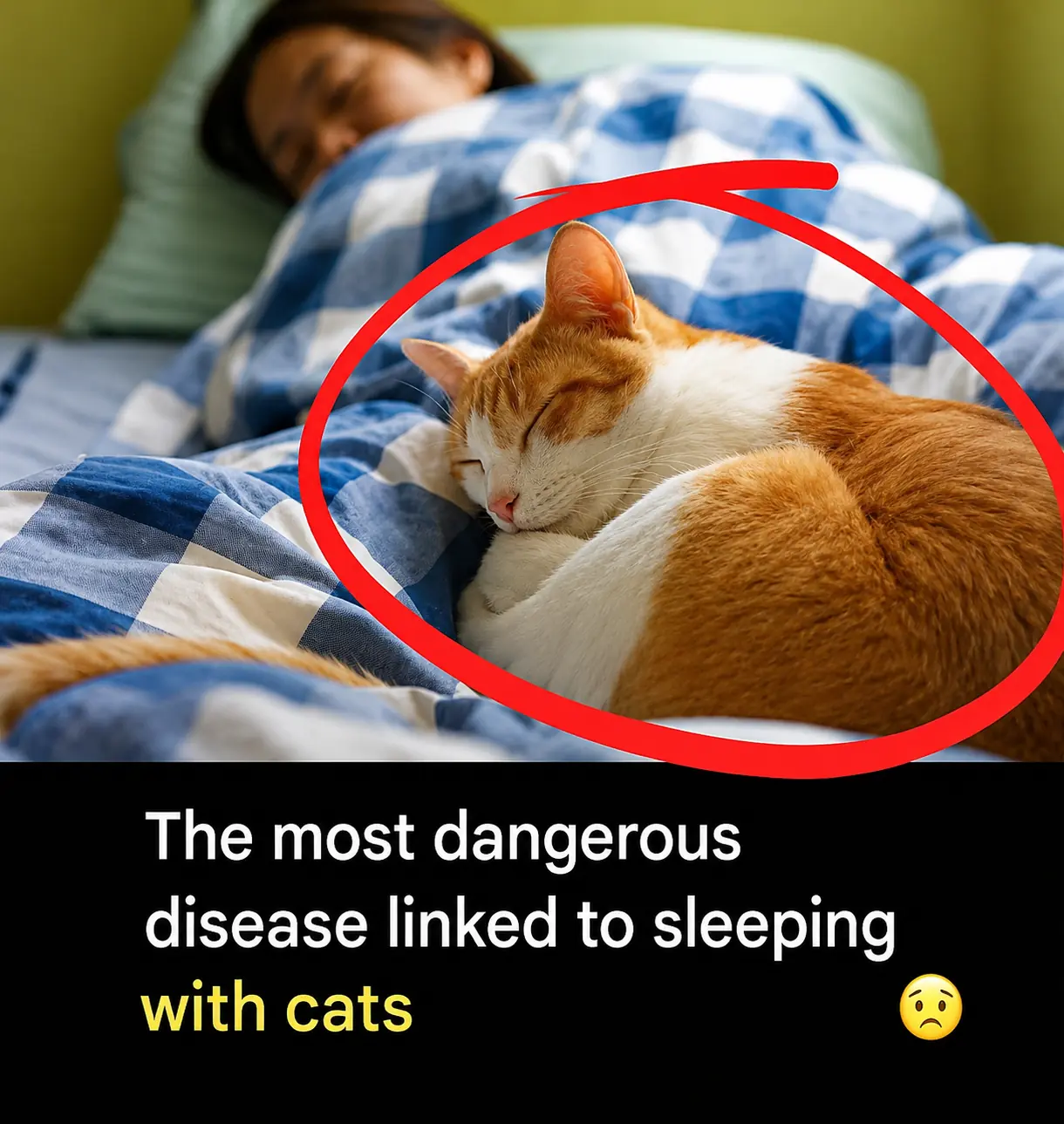 Sleeping with Cats …The Biggest Health Risk