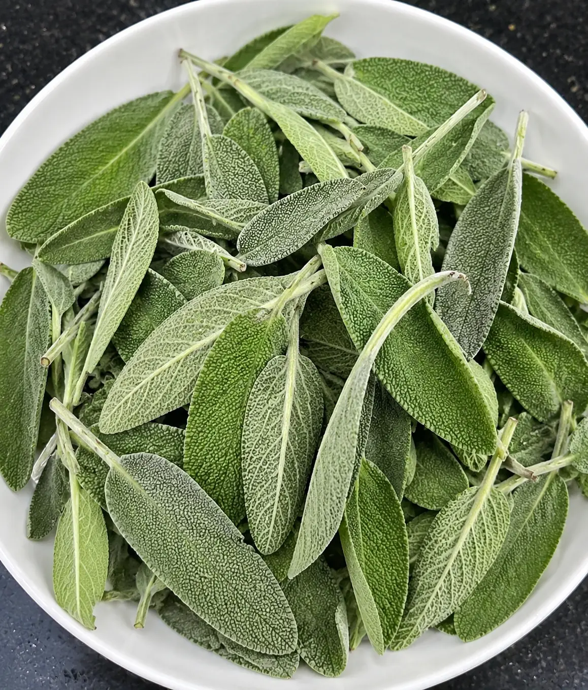 What Happens to Your Body When You Eat Sage? 7 Science-Backed Benefits