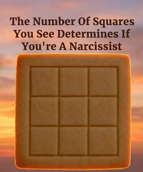 The Viral “How Many Squares” Puzzle