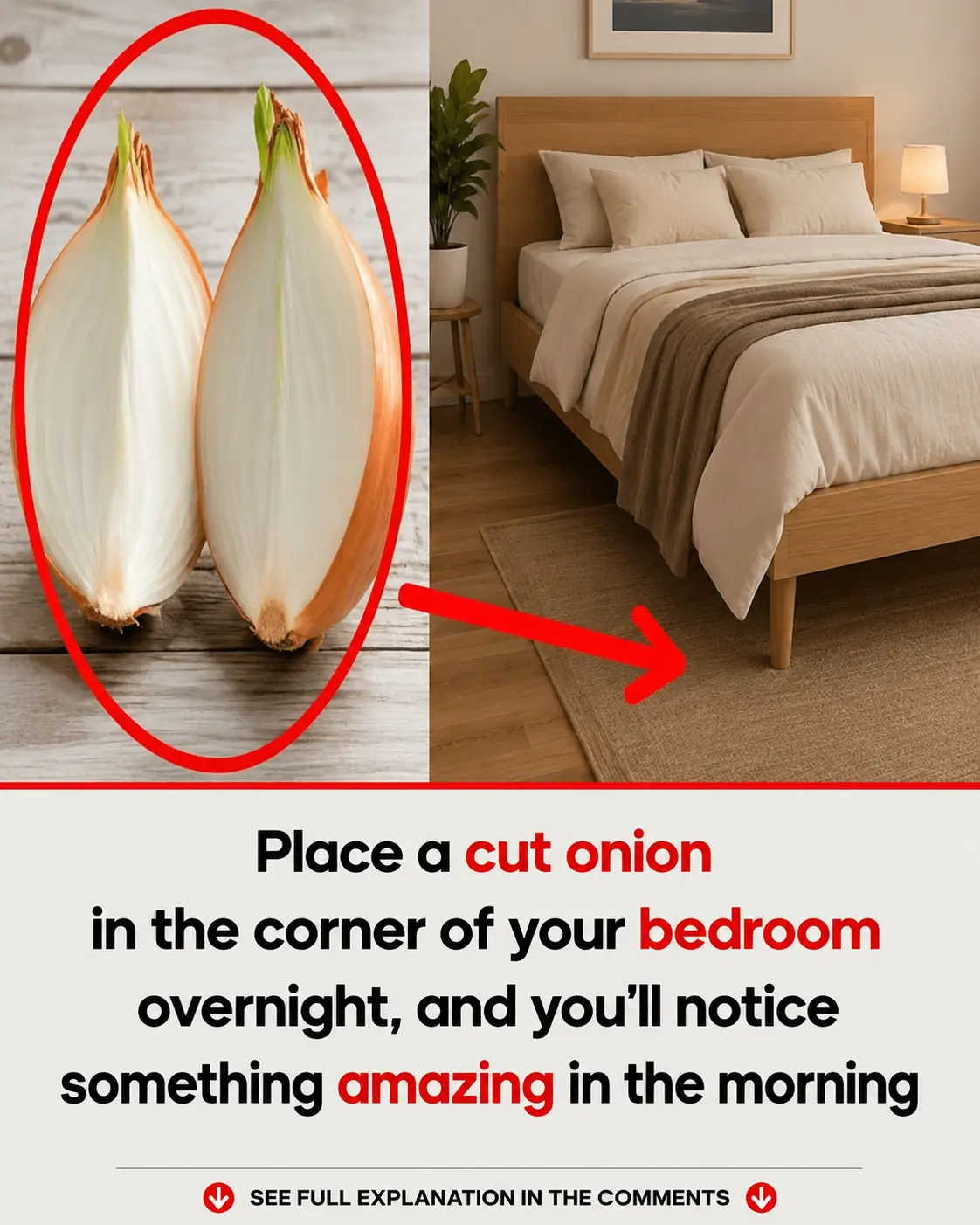 Cut an Onion and Place It by Your Bed Overnight – What Happens the Next Morning?