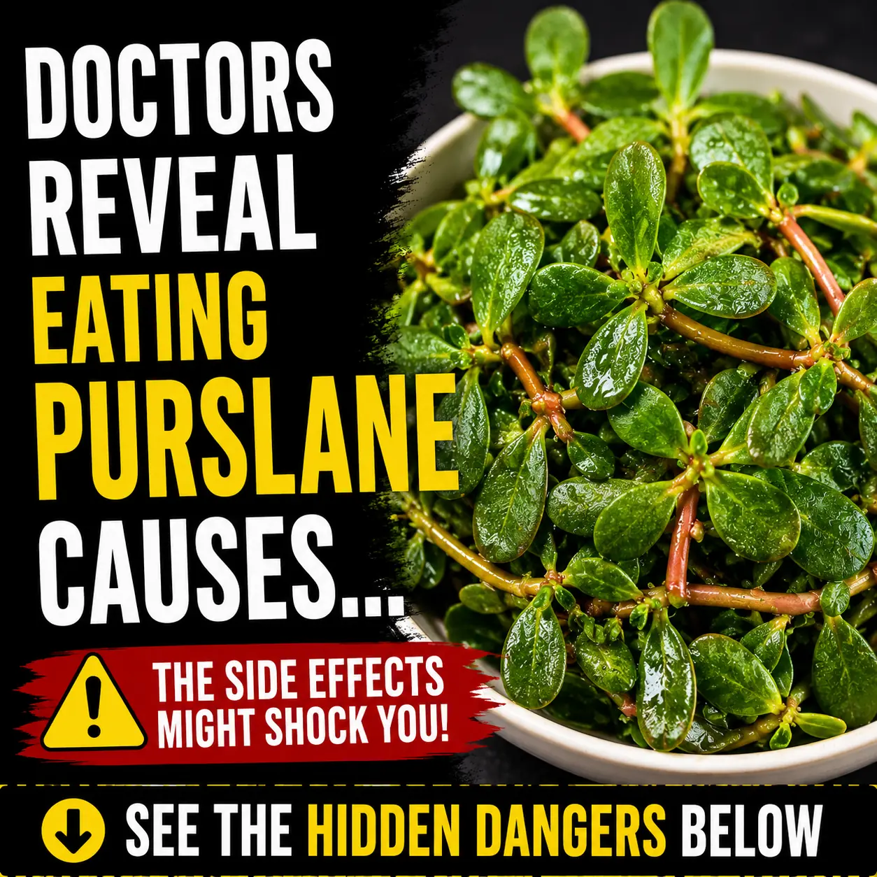 Purslane (Portulaca Oleracea): The Weed with Extraordinary Benefits (Science Based)