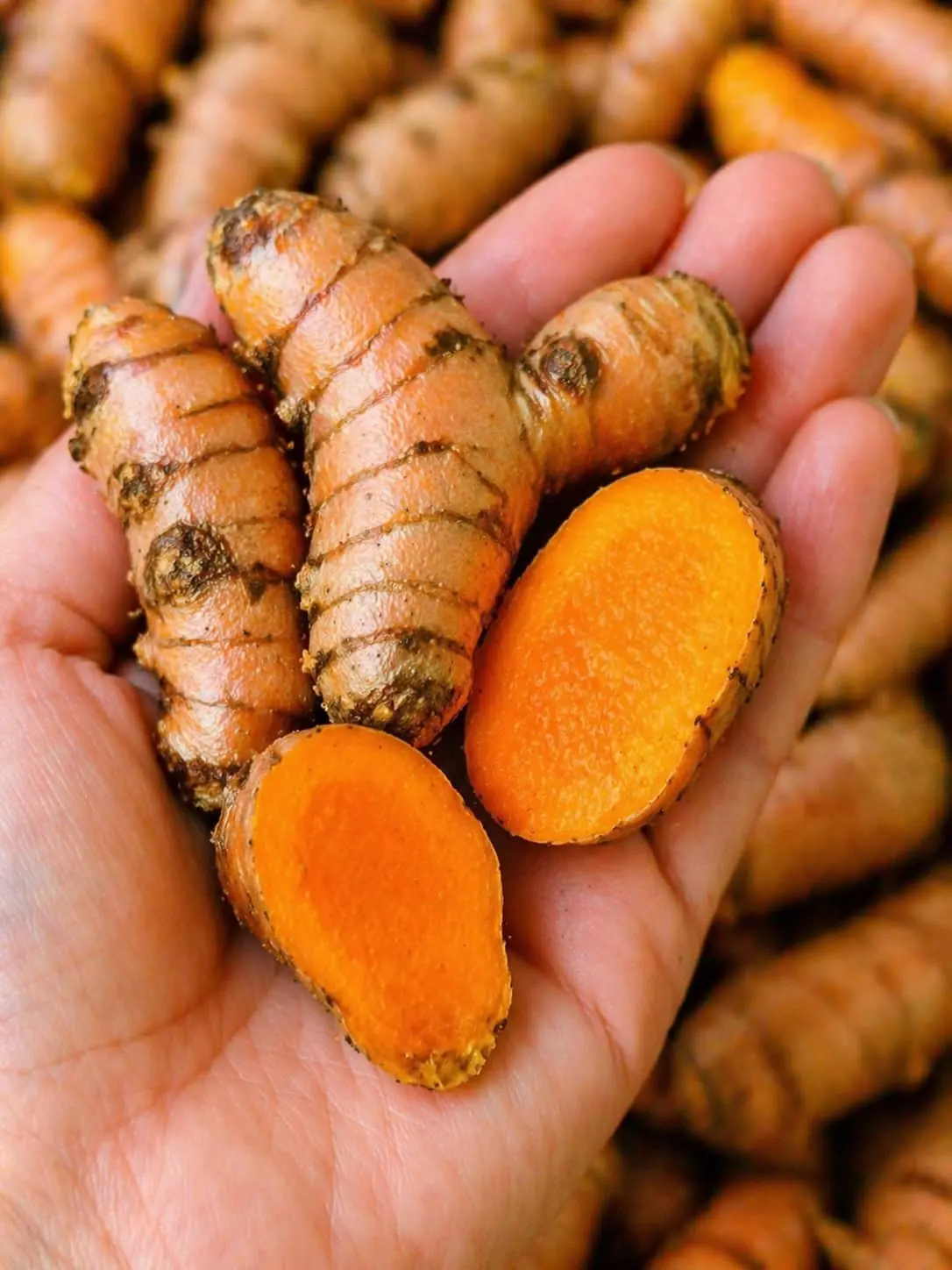 Medicinal Health Benefits of Turmeric, Curcumin and Turmeric Tea Based on Science