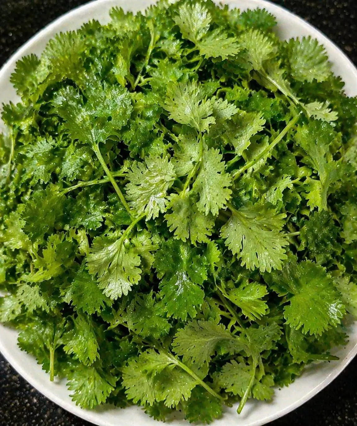 Proven Health Benefits of Cilantro (Coriander): Detox from Heavy Metals, Diabetes and More