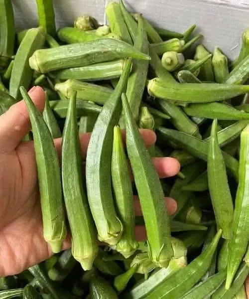 Is Okra Good for People With Diabetes?