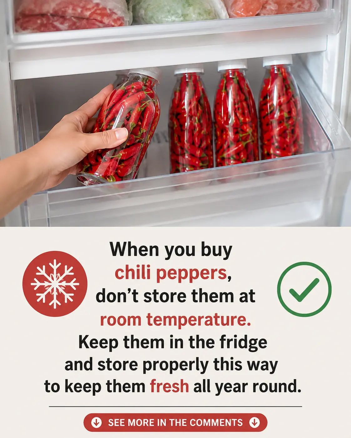 Don't put chili peppers in the refrigerator right away after buying them. Preserve them this way, and they'll stay fresh and delicious for a whole year.
