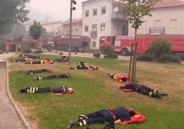 What The Bystander Observed On The Lawn Shocked Him